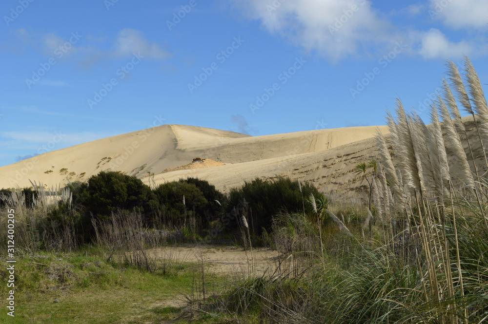 dune de sable