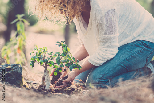 Environment and care for the planet and nature forest concept with lady seeding a new tree on the wood ground - save earth's day lifestyle people photo