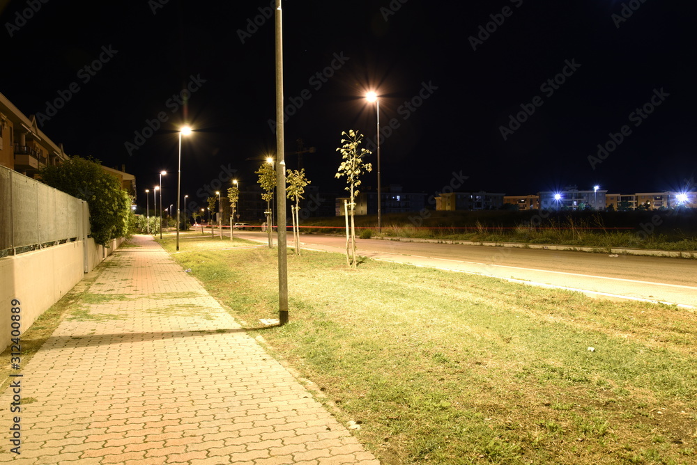 Night Park With Road illuminated by Lights