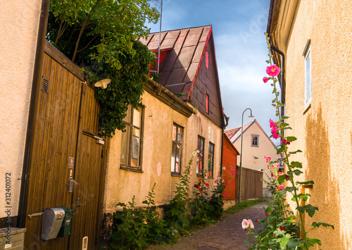 street Flowers of Visby. Gotland. Sweden