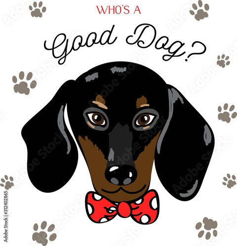 Cute placement engineered print with a vector illustration of a dapper preppy black dachshund dog puppy in a red bow tie with lettering words who's a good dog? surrounded by paw prints photo