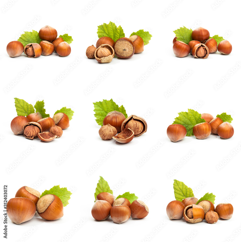 Set of Hazelnut nut many leaves isolated on a white background as a packaging design element Set of Hazelnut nut many leaves isolated on a white background as a packaging design element