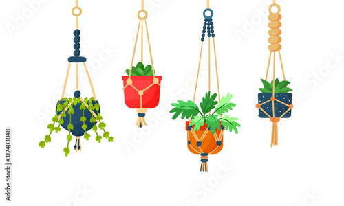 Collection of hanging macrame plants in pots for interior. Flat cartoon vector illustration on white background
