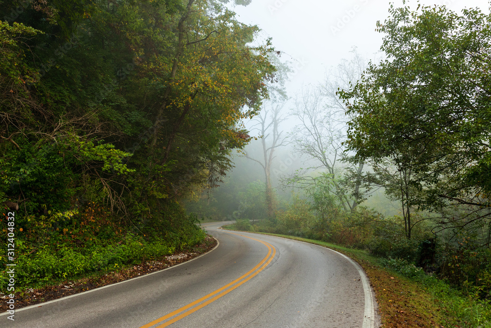 Road winding through trees on a misty foggy morning. Road winding through trees on a misty foggy morning.