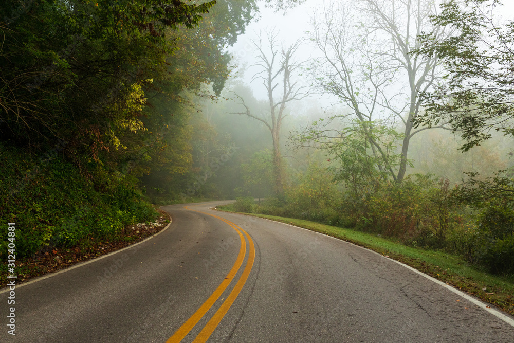Winding road through foggy morning trees. Winding road through foggy morning trees.
