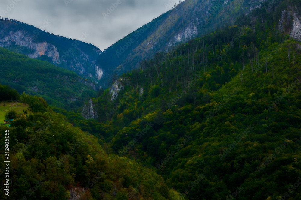 Views of canyons, mountains and forests in the Durmitor nature park, Montenegro