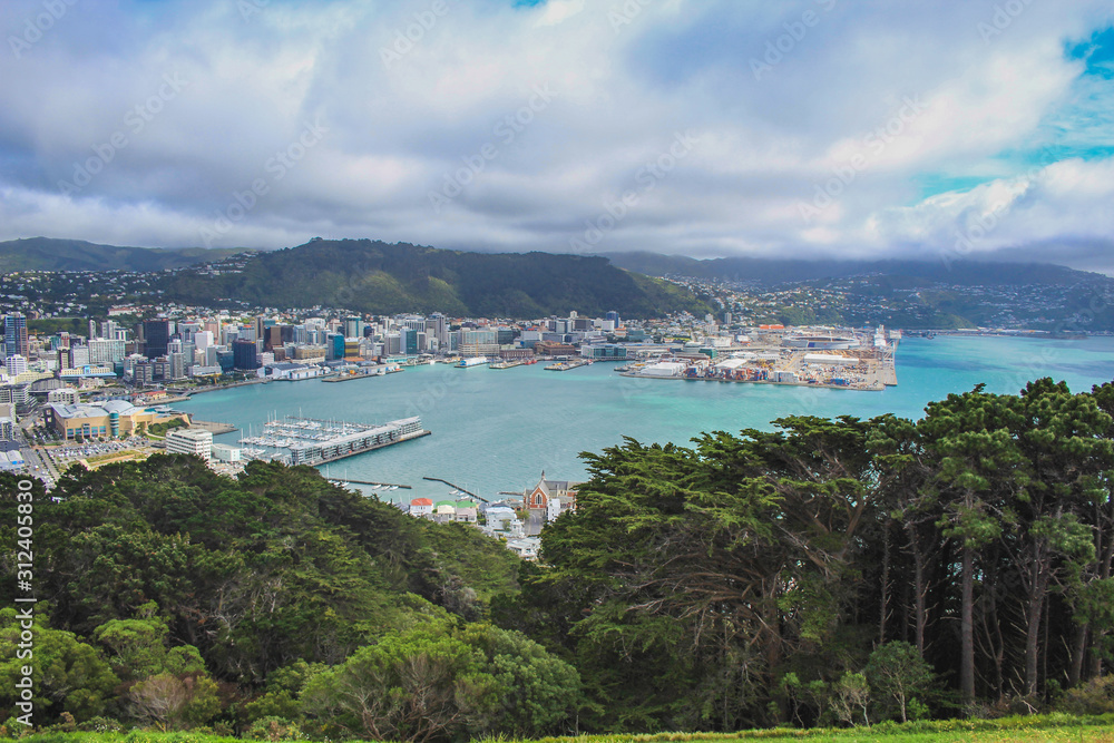 View over the capital Wellington from Mount Victoria, North Island, New Zealand