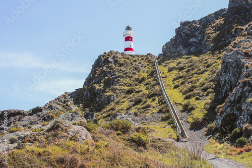 Cape Palliser lighthouse, North Island, New Zealand