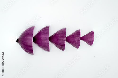 red onion on white background