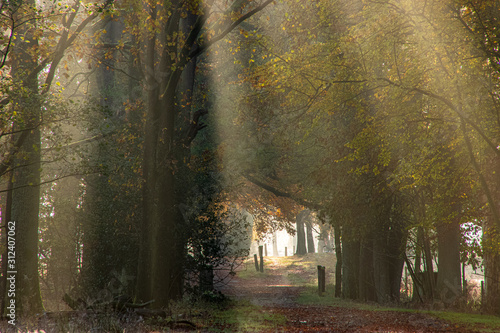 Totengrund Lüneburger Heide