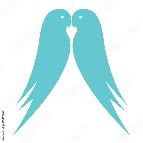 Budgerigars, budgies, parrots. Loving birds. Vector illustration