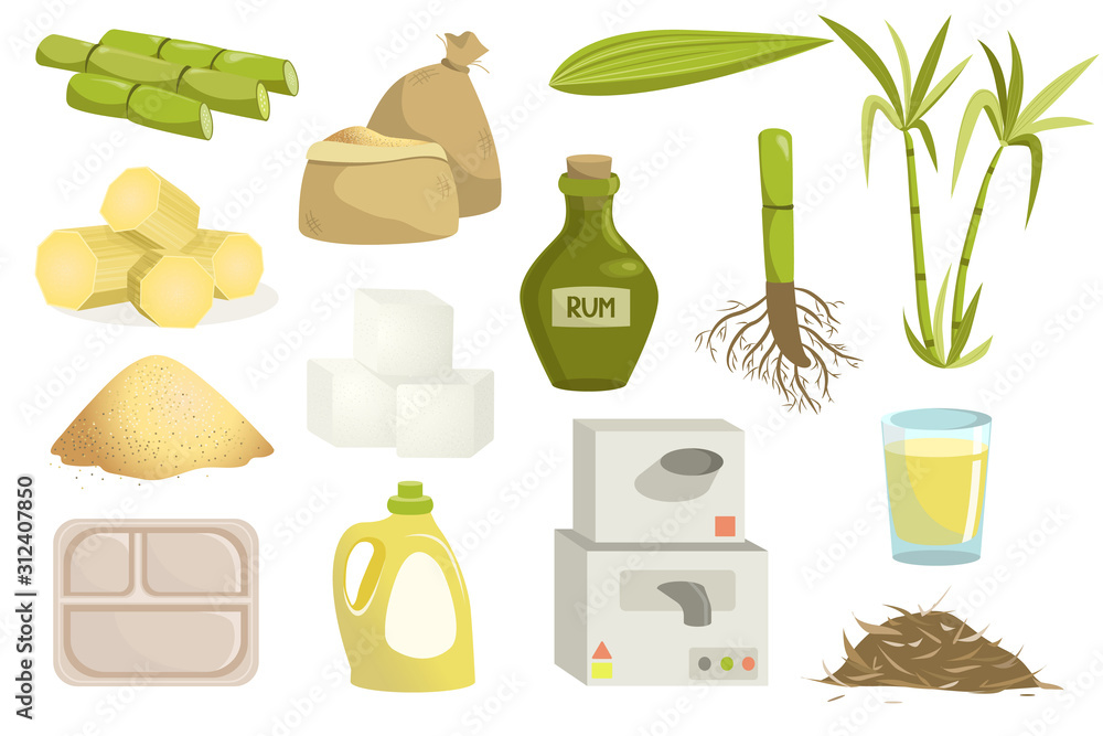 Set of sugar cane production elements: sugar cane leaves, rum, sugar
