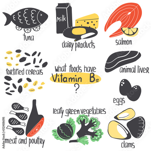 Hand drawn vitamin B12 cobalamin food sources concept: tuna, salmon, animal liver, vegetables, clams, meat and poultry, dairy products. Vector illustration is for pharmalogical or medical poster.