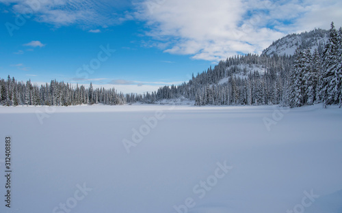 Frozen Reflection Lake Mt Rainier