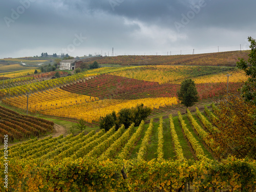 Autumn colors in the Italian Monferrato