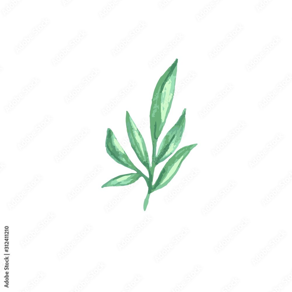 Green watercolor leaves clip art