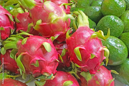 Photography Dragon Fruit or Pitaya for sale