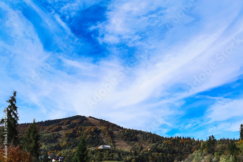 blue sky above mountains, covered with trees. cirrostratus clouds © Marina Varnava