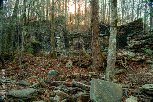 Trees in front of Sope Creek Civil War Ruins in Atlanta Georgia 