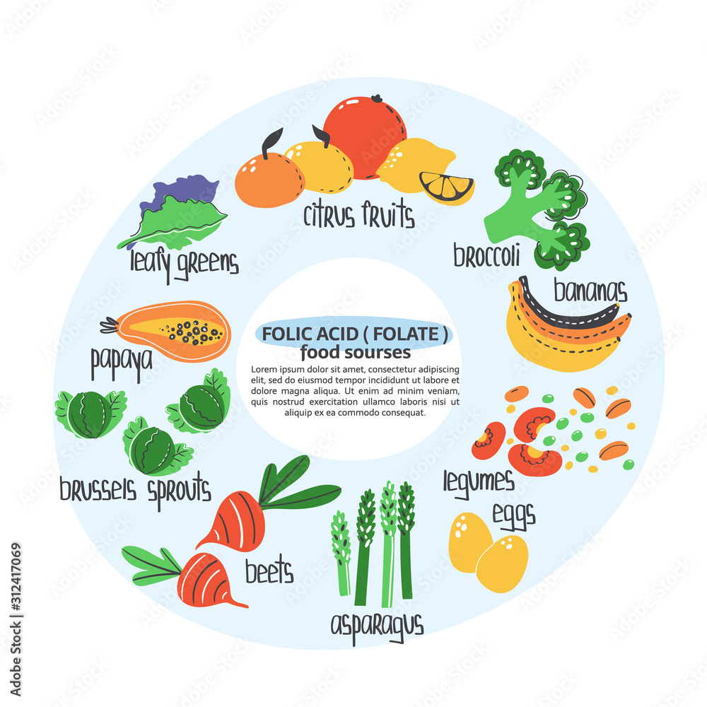 Vecteur Stock Hand drawn vitamin B9 or folic acid, folate food sources
