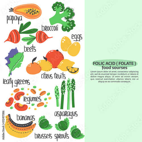 Hand drawn vitamin B9 or folic acid, folate food sources: legumes, asparagus, banana, papaya, eggs, beets, broccoli. Vector illustration is for pharmacological or medical poster, brochure.
