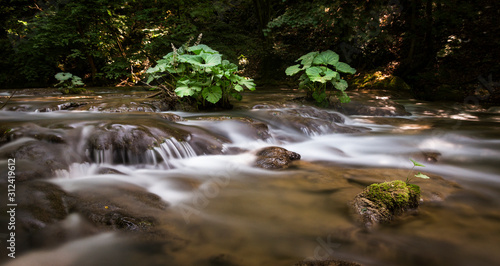Fototapeta Naklejka Na Ścianę i Meble -  Long exposure of the mountain stream 