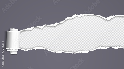 Rolled and ripped dark grey paper is on squared background for text. Vector illustration