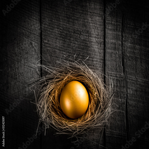 Golden Nest Egg On Rustic Wooden Table Background - Investment Concept photo
