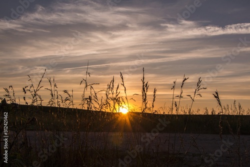 wind power turbines at sunset