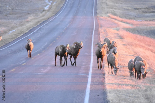 non edited badlands southdakota photo