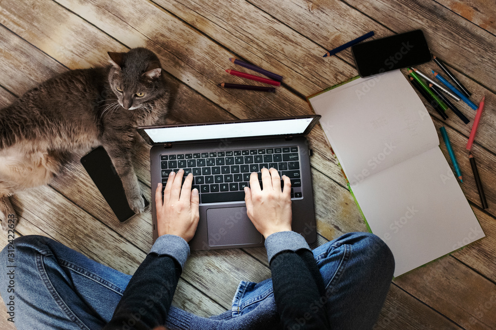 woman with a cat sitting on floor and using laptop - obrazy, fototapety, plakaty 