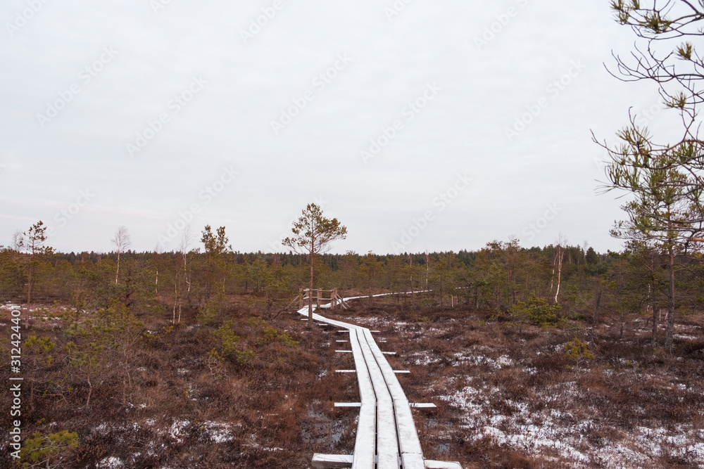 Fototapeta premium Snowy wooden path in a swamp