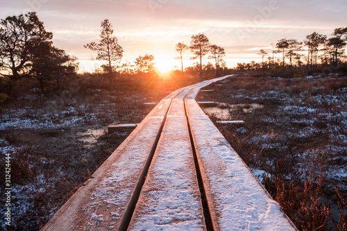 Snowy wooden path in a swamp