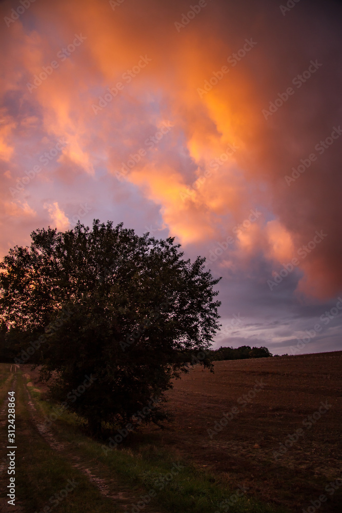 Fototapeta premium dramatic cloud colouring at sunset