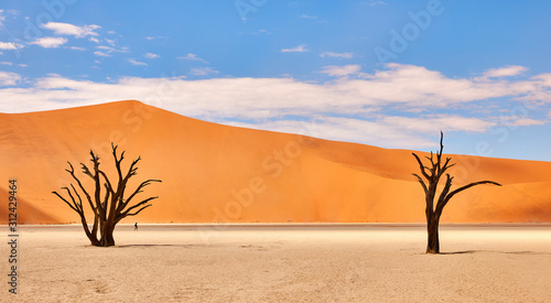 Konstfotografi Namibian desert landscape