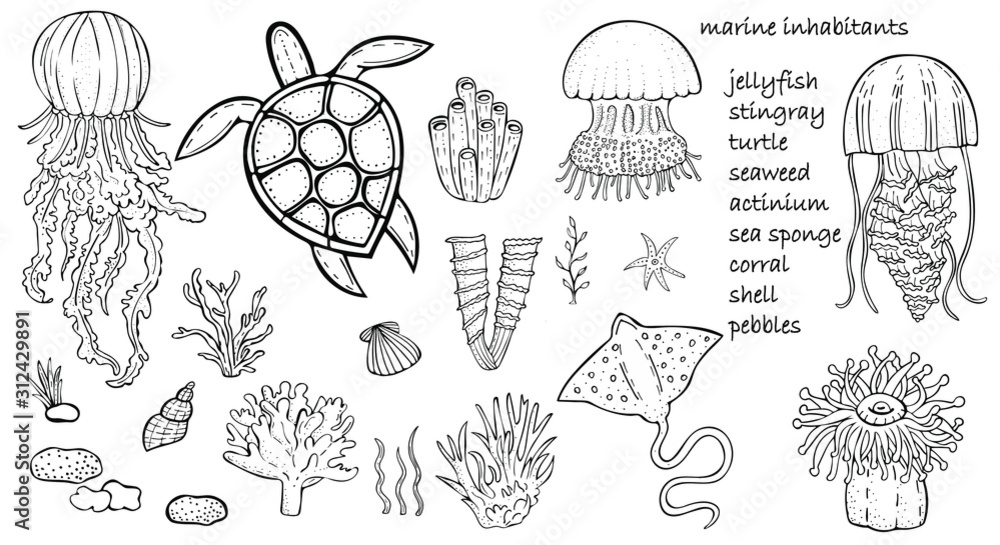 vector set of marine inhabitants - fish, jellyfish, stingray, turtle, corals, algae, sponges vector set of marine inhabitants - fish, jellyfish, stingray, turtle, corals, algae, sponges