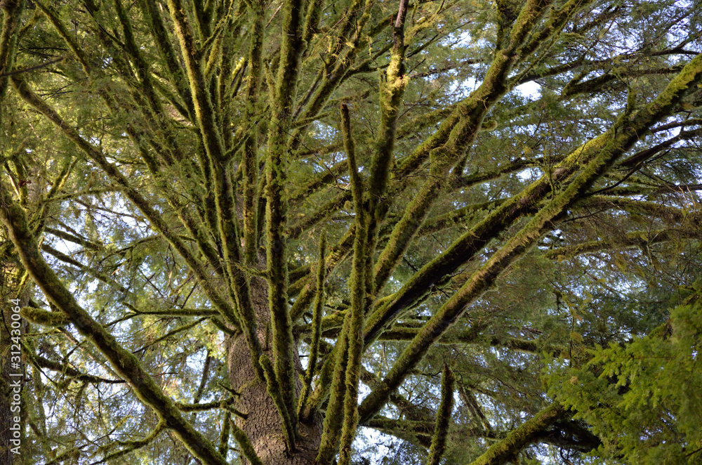 Port Moody Parks - 5 Port Moody Parks - 5