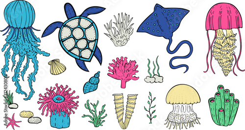 vector set of marine inhabitants - fish, jellyfish, stingray, turtle, corals, algae, sponges