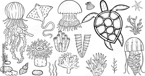 vector set of marine inhabitants - fish, jellyfish, stingray, turtle, corals, algae, sponges