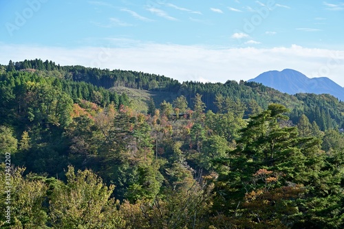 巨大な吊り橋から見る秋の情景＠大分