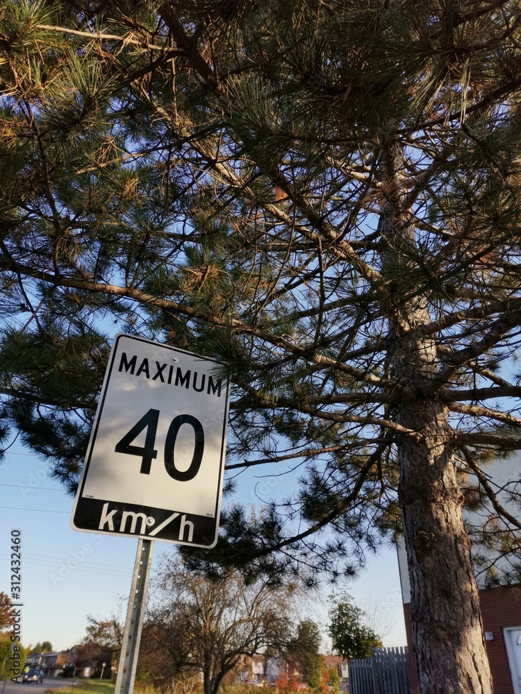 Maximum 40km/h sign beside a tree.