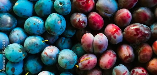 Fotografie two plum varieties side by side