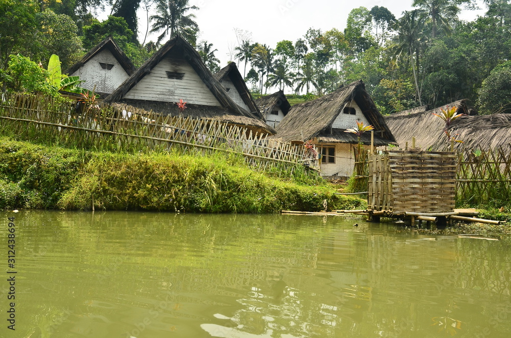 village ponds between residents' houses in Tasikmalaya, West Java, Indonesia village ponds between residents' houses in Tasikmalaya, West Java, Indonesia