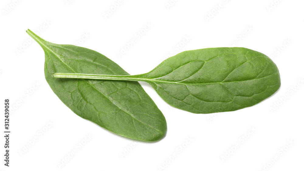 Fresh spinach on white background Fresh spinach on white background