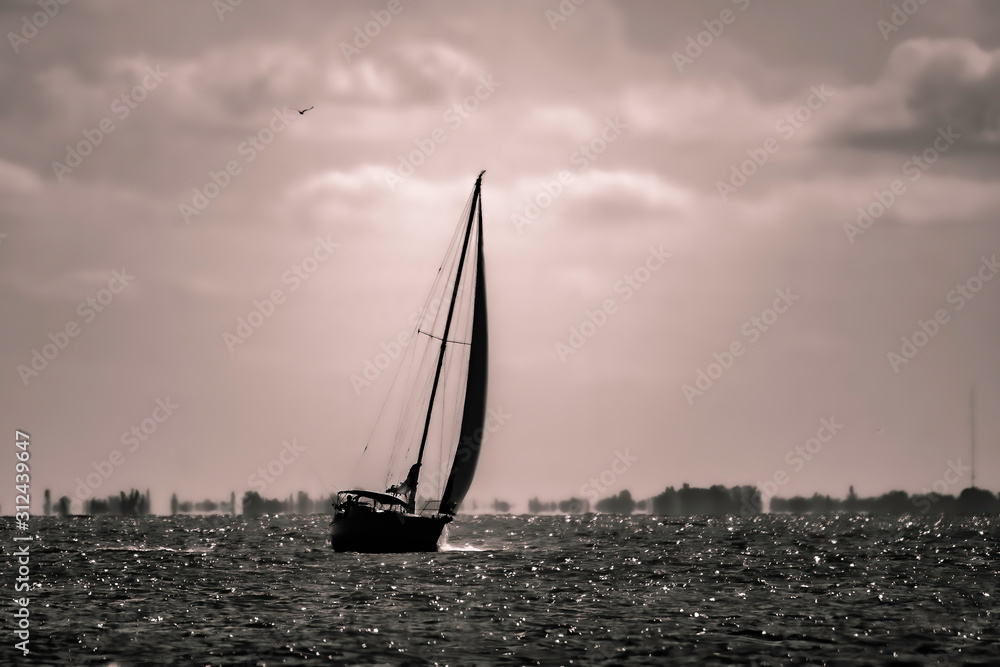 Black and white of a sailboat in Florida