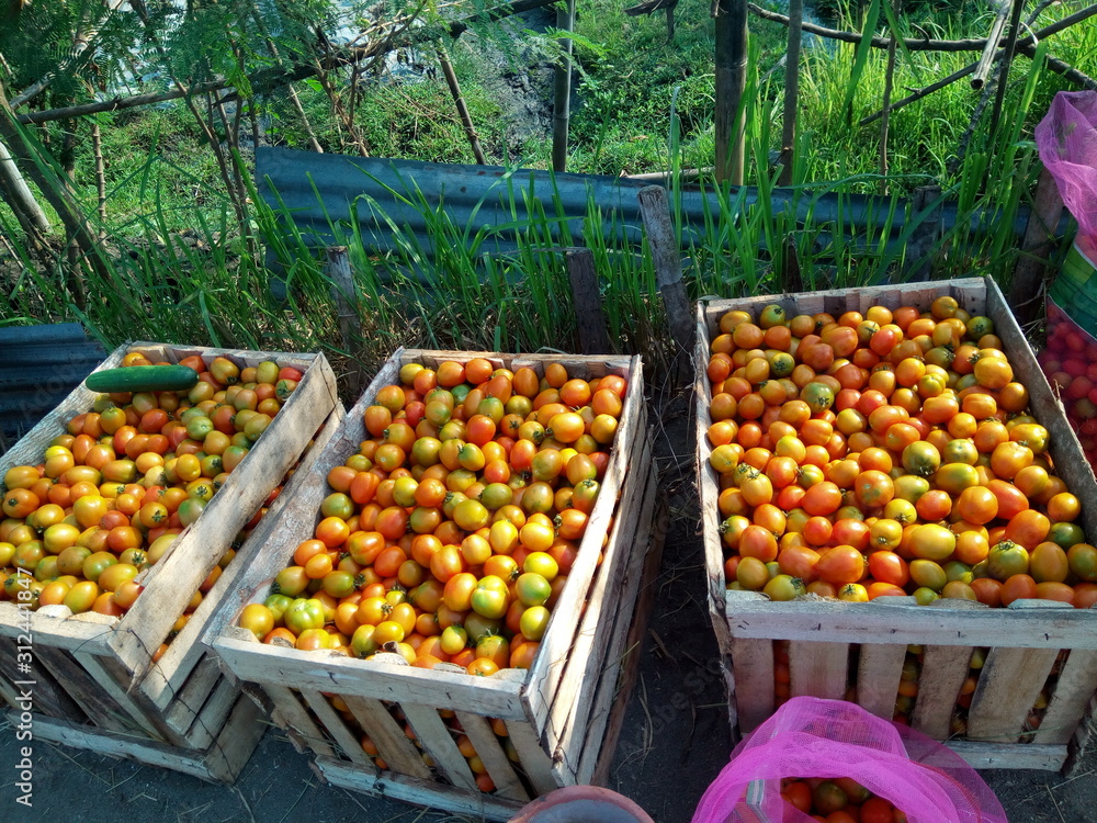 fruits and vegetables at the market