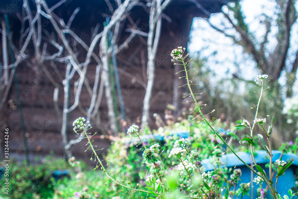 冬の中に春の息吹を見つけに行こう。