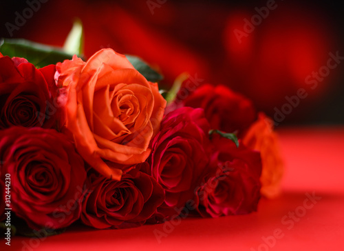 Congratulation on Valentine s Day  roses  flowers  romance. Red background  space for an inscription.