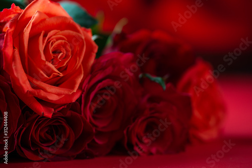 Red roses on a red background  love and romance. Valentine s Day  mother s day or March 8