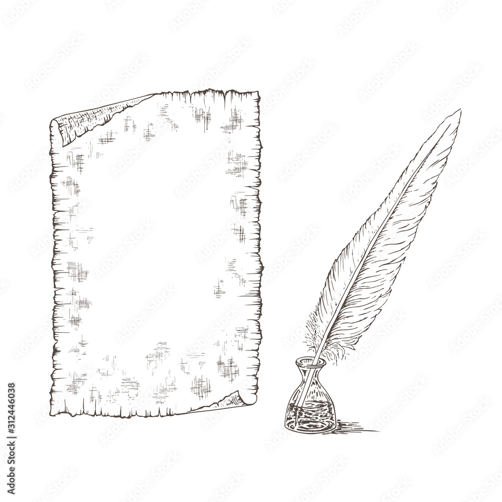 Hand drawn sheet of paper scroll, feathers and inkwell. Pencil sketch ...